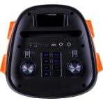 اسپیکر قابل حمل آکو Sound Box 200 با ورودی میکروفن و گیتار